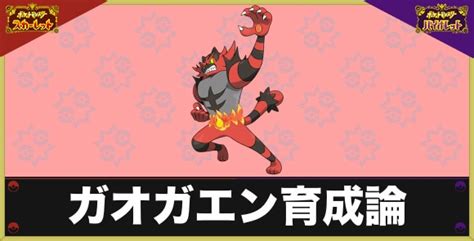 【ポケモンSV】ガオガエンの育成論と対策【スカーレットバイ .